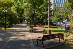 Парк имени Фрунзе в Сочи
