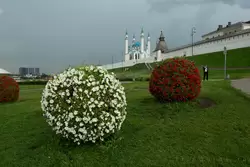 Зелёные шары на площади Тысячелетия в Казани