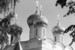 Купола Троицкого собора, фото