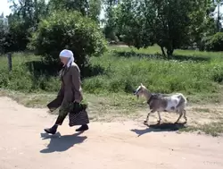 Бабка и коза