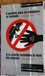 Кормить голубей запрещено, штраф 100 евро