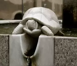 Фонтан с черепахами в Кёльне