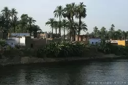 Круиз по Нилу от Луксора до Эдфу, фото 34