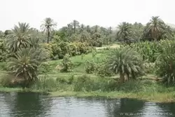 Круиз по Нилу от Эдфу до Ком-Омбо, фото 65
