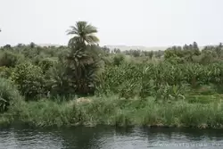 Круиз по Нилу от Эдфу до Ком-Омбо, фото 66