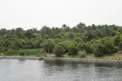 Круиз по Нилу от Эдфу до Ком-Омбо, фото 14