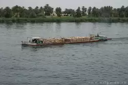 Круиз по Нилу от Эдфу до Ком-Омбо, фото 23