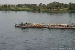 Круиз по Нилу от Эдфу до Ком-Омбо, фото 24