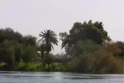 Прогулка на лодке в Нубийскую деревню