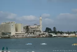 Город Александрия, фото 83