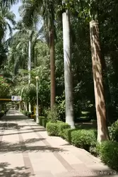 Ботанический сад в Асуане, фото 6