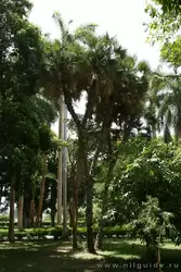 Ботанический сад в Асуане, фото 16