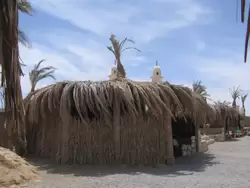 Сафари на джипах в Египте, фото 1