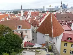 Таллин, вид на старый город со смотровой площадки