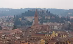 Вид на церковь Святой Анастасии с башни Ламберти в Вероне