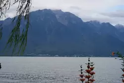 Монтрё и Женевское озеро, фото 12