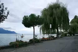 Монтрё и Женевское озеро, фото 56