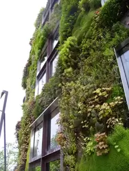 Зелёный дом в Париже