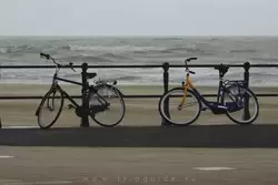 Велосипеды и море